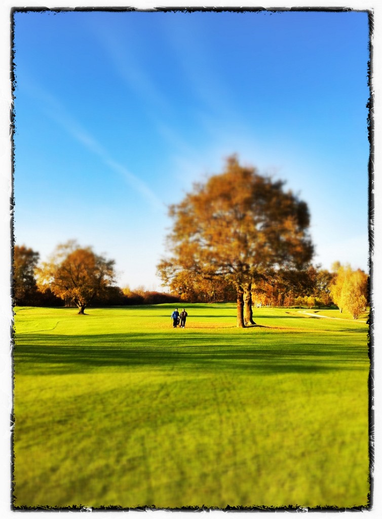 golf shift